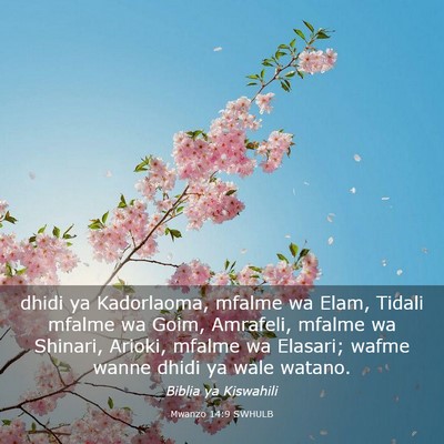 Picture 03 - Mwanzo 14:9 SWHULB - dhidi ya Kadorlaoma, mfalme wa Elam, Tidali - Bible Verse Picture