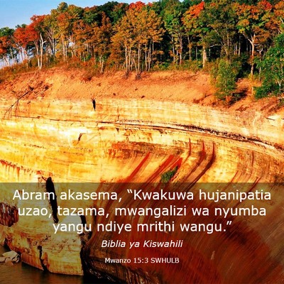 Picture 03 - Mwanzo 15:3 SWHULB - Abram akasema, “Kwakuwa hujanipatia uzao, - Bible Verse Picture