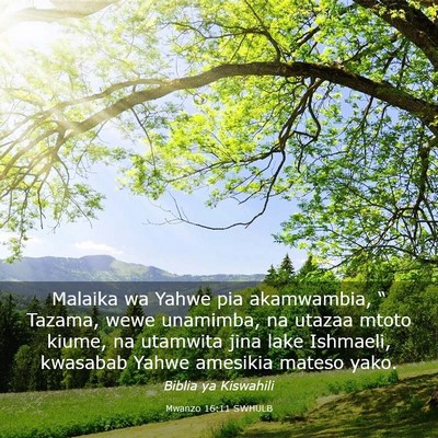 Picture 03 - Mwanzo 16:11 SWHULB - Malaika wa Yahwe pia akamwambia, “ Tazama, wewe - Bible Verse Picture
