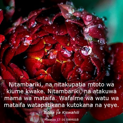 Picture 03 - Mwanzo 17:16 SWHULB - Nitambariki, na nitakupatia mtoto wa kiume kwake. - Bible Verse Picture