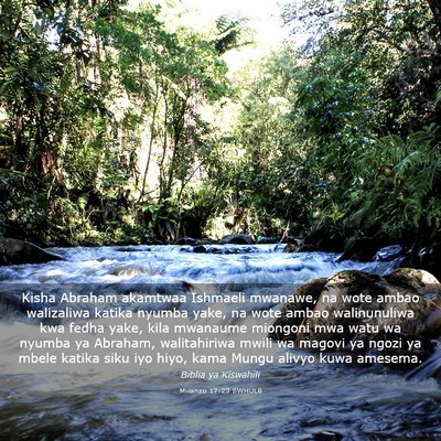 Picture 03 - Mwanzo 17:23 SWHULB - Kisha Abraham akamtwaa Ishmaeli mwanawe, na wote - Bible Verse Picture