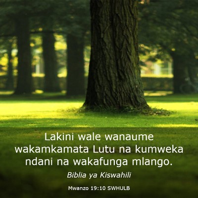 Picture 03 - Mwanzo 19:10 SWHULB - Lakini wale wanaume wakamkamata Lutu na kumweka - Bible Verse Picture