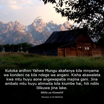 Picture 03 - Mwanzo 2:19 SWHULB - Kutoka ardhini Yahwe Mungu akafanya kila mnyama - Bible Verse Picture