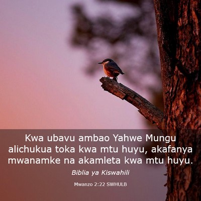 Picture 03 - Mwanzo 2:22 SWHULB - Kwa ubavu ambao Yahwe Mungu alichukua toka kwa - Bible Verse Picture
