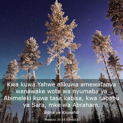 Picture 03 - Mwanzo 20:18 SWHULB - Kwa kuwa Yahwe alikuwa amewafanya wanawake wote - Bible Verse Picture