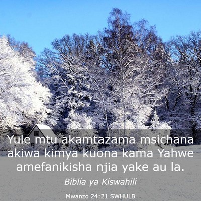 Picture 03 - Mwanzo 24:21 SWHULB - Yule mtu akamtazama msichana akiwa kimya kuona - Bible Verse Picture