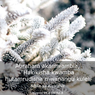 Picture 03 - Mwanzo 24:6 SWHULB - Abraham akamwambia, “Hakikisha kwamba - Bible Verse Picture