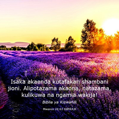 Picture 03 - Mwanzo 24:63 SWHULB - Isaka akaenda kutafakari shambani jioni. - Bible Verse Picture