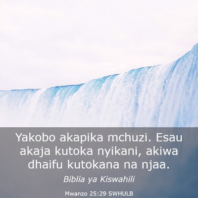 Picture 03 - Mwanzo 25:29 SWHULB - Yakobo akapika mchuzi. Esau akaja kutoka nyikani, - Bible Verse Picture