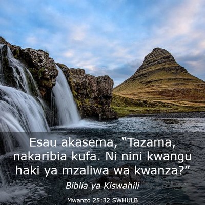 Picture 03 - Mwanzo 25:32 SWHULB - Esau akasema, “Tazama, nakaribia kufa. Ni nini - Bible Verse Picture