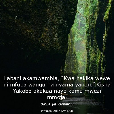 Picture 03 - Mwanzo 29:14 SWHULB - Labani akamwambia, “Kwa hakika wewe ni mfupa - Bible Verse Picture
