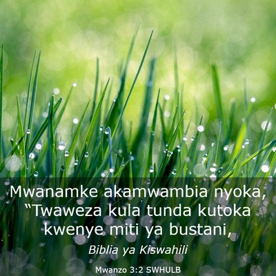 Picture 03 - Mwanzo 3:2 SWHULB - Mwanamke akamwambia nyoka, “Twaweza kula tunda - Bible Verse Picture