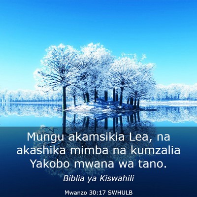 Picture 03 - Mwanzo 30:17 SWHULB - Mungu akamsikia Lea, na akashika mimba na - Bible Verse Picture