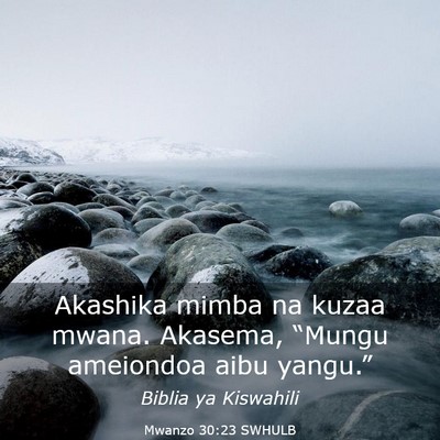 Picture 03 - Mwanzo 30:23 SWHULB - Akashika mimba na kuzaa mwana. Akasema, “Mungu - Bible Verse Picture