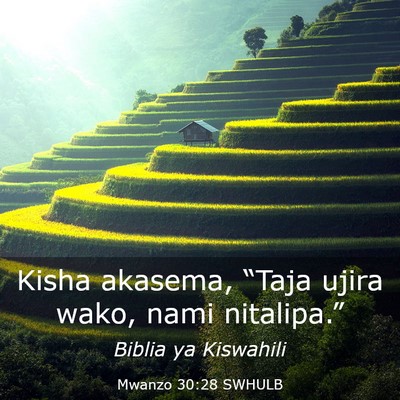 Picture 03 - Mwanzo 30:28 SWHULB - Kisha akasema, “Taja ujira wako, nami - Bible Verse Picture