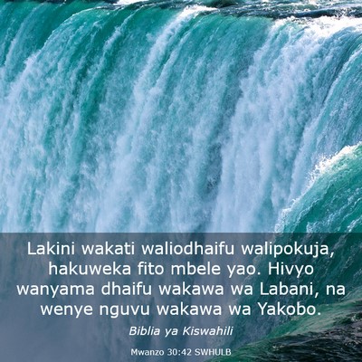 Picture 03 - Mwanzo 30:42 SWHULB - Lakini wakati waliodhaifu walipokuja, hakuweka - Bible Verse Picture
