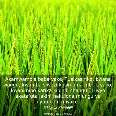 Picture 03 - Mwanzo 31:35 SWHULB - Akamwambia baba yake, “Usikasirike, bwana - Bible Verse Picture
