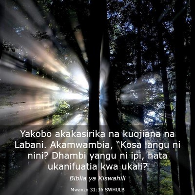 Picture 03 - Mwanzo 31:36 SWHULB - Yakobo akakasirika na kuojiana na Labani. - Bible Verse Picture