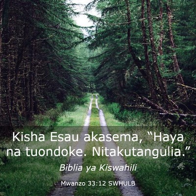 Picture 03 - Mwanzo 33:12 SWHULB - Kisha Esau akasema, “Haya na tuondoke. - Bible Verse Picture
