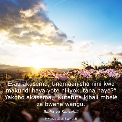 Picture 03 - Mwanzo 33:8 SWHULB - Esau akasema, Unamaanisha nini kwa makundi haya - Bible Verse Picture