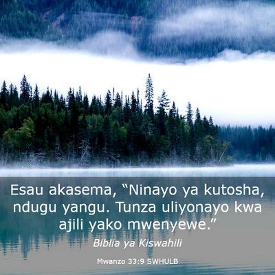 Picture 03 - Mwanzo 33:9 SWHULB - Esau akasema, “Ninayo ya kutosha, ndugu yangu. - Bible Verse Picture