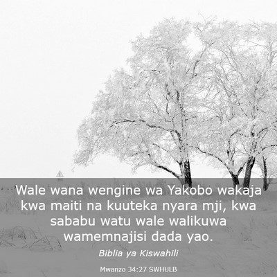 Picture 03 - Mwanzo 34:27 SWHULB - Wale wana wengine wa Yakobo wakaja kwa maiti na - Bible Verse Picture