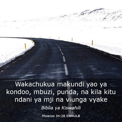 Picture 03 - Mwanzo 34:28 SWHULB - Wakachukua makundi yao ya kondoo, mbuzi, punda, - Bible Verse Picture