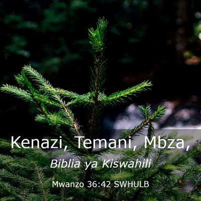 Picture 03 - Mwanzo 36:42 SWHULB - Kenazi, Temani, - Bible Verse Picture
