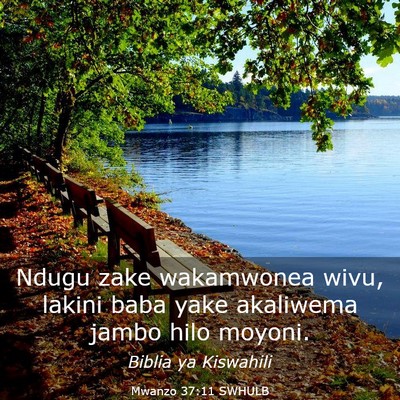 Picture 03 - Mwanzo 37:11 SWHULB - Ndugu zake wakamwonea wivu, lakini baba yake - Bible Verse Picture