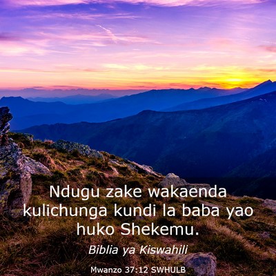 Picture 03 - Mwanzo 37:12 SWHULB - Ndugu zake wakaenda kulichunga kundi la baba yao - Bible Verse Picture