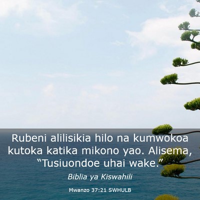 Picture 03 - Mwanzo 37:21 SWHULB - Rubeni alilisikia hilo na kumwokoa kutoka katika - Bible Verse Picture