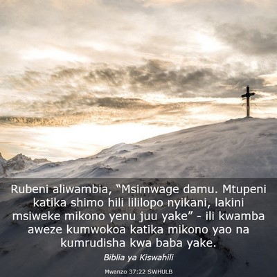 Picture 03 - Mwanzo 37:22 SWHULB - Rubeni aliwambia, “Msimwage damu. Mtupeni - Bible Verse Picture