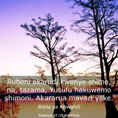 Picture 03 - Mwanzo 37:29 SWHULB - Rubeni akarudi kwenye shimo, na, tazama, Yusufu - Bible Verse Picture