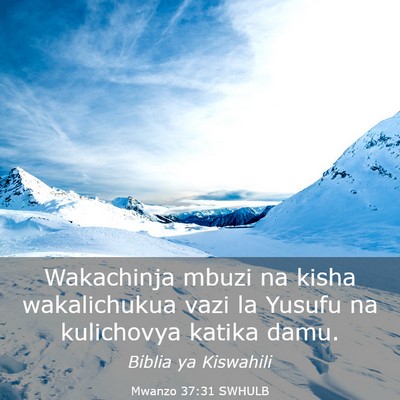 Picture 03 - Mwanzo 37:31 SWHULB - Wakachinja mbuzi na kisha wakalichukua vazi la - Bible Verse Picture