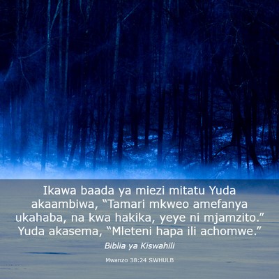 Picture 03 - Mwanzo 38:24 SWHULB - Ikawa baada ya miezi mitatu Yuda akaambiwa, - Bible Verse Picture