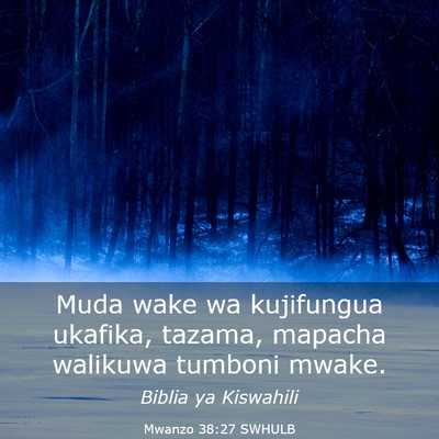 Picture 03 - Mwanzo 38:27 SWHULB - Muda wake wa kujifungua ukafika, tazama, mapacha - Bible Verse Picture