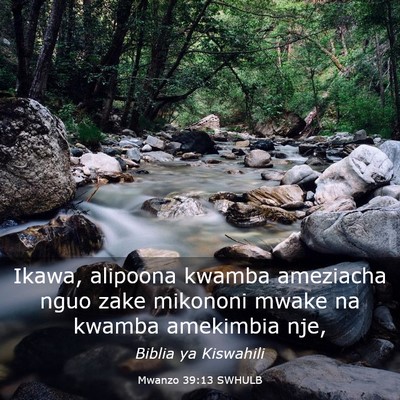 Picture 03 - Mwanzo 39:13 SWHULB - Ikawa, alipoona kwamba ameziacha nguo zake - Bible Verse Picture