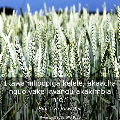 Picture 03 - Mwanzo 39:18 SWHULB - Ikawa nilipopiga kelele, akaacha nguo yake kwangu - Bible Verse Picture