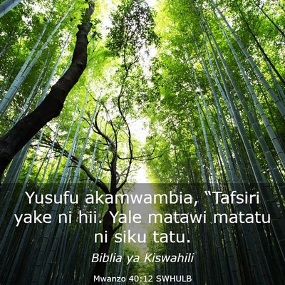 Picture 03 - Mwanzo 40:12 SWHULB - Yusufu akamwambia, “Tafsiri yake ni hii. Yale - Bible Verse Picture