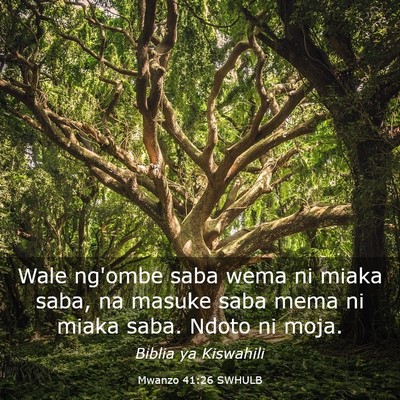 Picture 03 - Mwanzo 41:26 SWHULB - Wale ng'ombe saba wema ni miaka saba, na masuke - Bible Verse Picture
