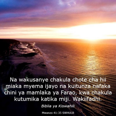 Picture 03 - Mwanzo 41:35 SWHULB - Na wakusanye chakula chote cha hii miaka myema - Bible Verse Picture