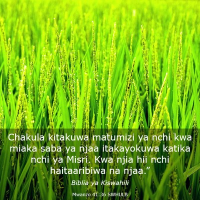 Picture 03 - Mwanzo 41:36 SWHULB - Chakula kitakuwa matumizi ya nchi kwa miaka saba - Bible Verse Picture