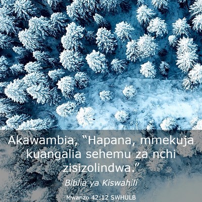 Picture 03 - Mwanzo 42:12 SWHULB - Akawambia, “Hapana, mmekuja kuangalia sehemu za - Bible Verse Picture
