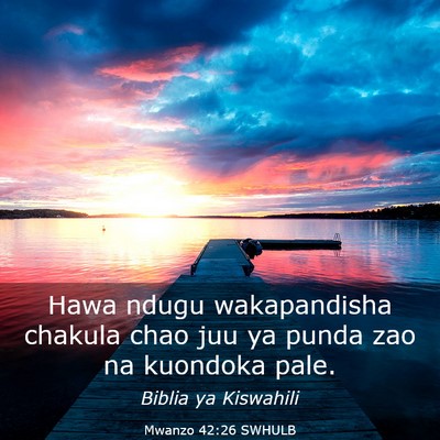 Picture 03 - Mwanzo 42:26 SWHULB - Hawa ndugu wakapandisha chakula chao juu ya punda - Bible Verse Picture