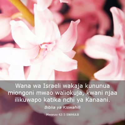 Picture 03 - Mwanzo 42:5 SWHULB - Wana wa Israeli wakaja kununua miongoni mwao - Bible Verse Picture