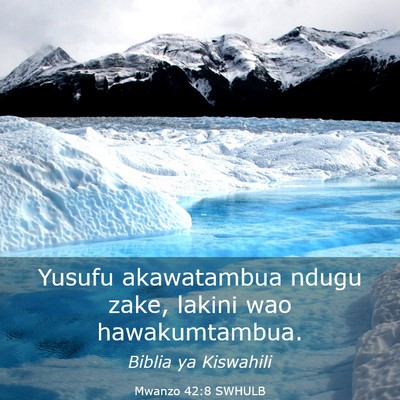 Picture 03 - Mwanzo 42:8 SWHULB - Yusufu akawatambua ndugu zake, lakini wao - Bible Verse Picture