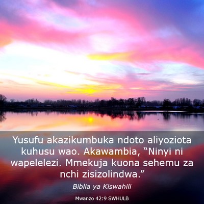Picture 03 - Mwanzo 42:9 SWHULB - Yusufu akazikumbuka ndoto aliyoziota kuhusu wao. - Bible Verse Picture