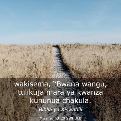 Picture 03 - Mwanzo 43:20 SWHULB - wakisema, “Bwana wangu, tulikuja mara ya kwanza - Bible Verse Picture