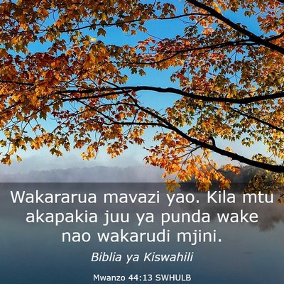 Picture 03 - Mwanzo 44:13 SWHULB - Wakararua mavazi yao. Kila mtu akapakia juu ya - Bible Verse Picture