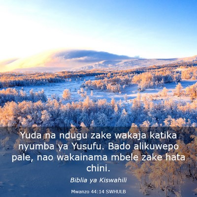 Picture 03 - Mwanzo 44:14 SWHULB - Yuda na ndugu zake wakaja katika nyumba ya - Bible Verse Picture